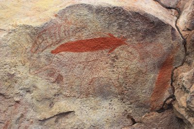 Eel Tail Catfish on Possum by Unbekannt Unbekannt